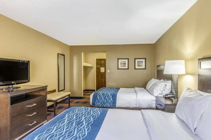Room 15 of 31